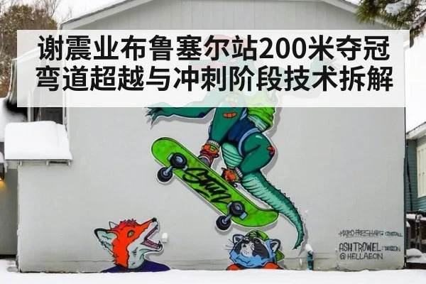 谢震业布鲁塞尔站200米夺冠 弯道超越与冲刺阶段技术拆解