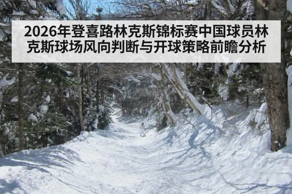 2026年登喜路林克斯锦标赛中国球员林克斯球场风向判断与开球策略前瞻分析
